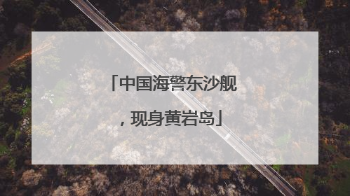 中国海警东沙舰，现身黄岩岛