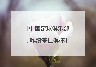 中国足球俱乐部，咋没来世俱杯