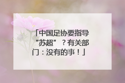 中国足协要指导“苏超”？有关部门：没有的事！