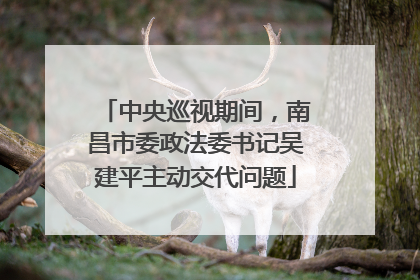 中央巡视期间，南昌市委政法委书记吴建平主动交代问题