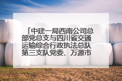 中建一局西南公司总部党总支与四川省交通运输综合行政执法总队第三支队党委、万源市草坝镇莲花院村党支部开展党建联建
