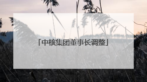 中核集团董事长调整
