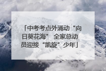 中考考点外涌动“向日葵花海” 全家总动员迎接“凯旋”少年
