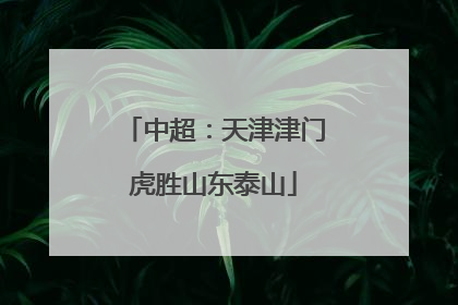 中超：天津津门虎胜山东泰山
