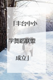 丰台中小学舞蹈联盟成立