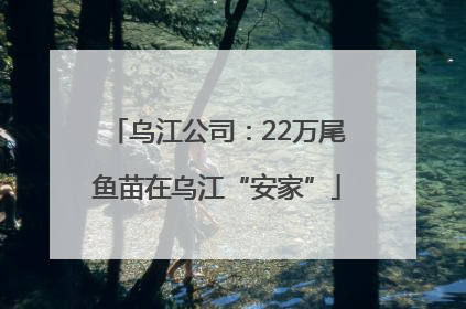 乌江公司：22万尾鱼苗在乌江“安家”