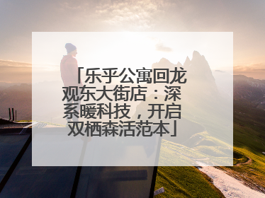乐乎公寓回龙观东大街店：深系暖科技，开启双栖森活范本