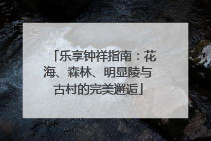乐享钟祥指南：花海、森林、明显陵与古村的完美邂逅