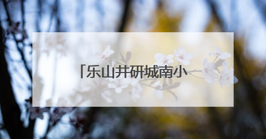 乐山井研城南小学：展现青春担当，共议身边要事