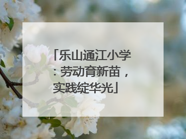 乐山通江小学：劳动育新苗，实践绽华光