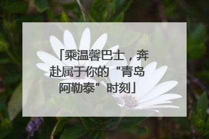 乘温馨巴士，奔赴属于你的“青岛阿勒泰”时刻