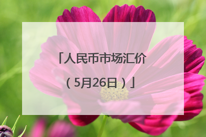 人民币市场汇价（5月26日）