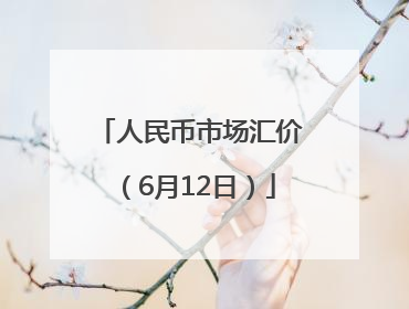 人民币市场汇价（6月12日）