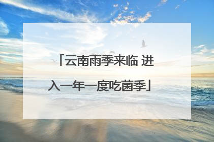 云南雨季来临 进入一年一度吃菌季