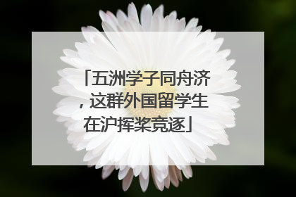 五洲学子同舟济，这群外国留学生在沪挥桨竞逐