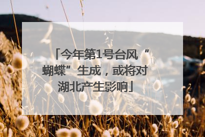 今年第1号台风“蝴蝶”生成，或将对湖北产生影响