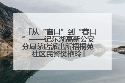 从“窗口”到“巷口”——记东湖高新公安分局茅店派出所梧桐苑社区民警樊艳玲