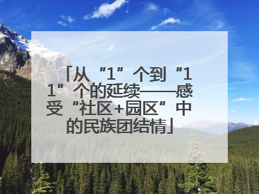 从“1”个到“11”个的延续——感受“社区+园区”中的民族团结情
