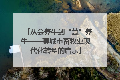 从会养牛到“慧”养牛——聊城市畜牧业现代化转型的启示