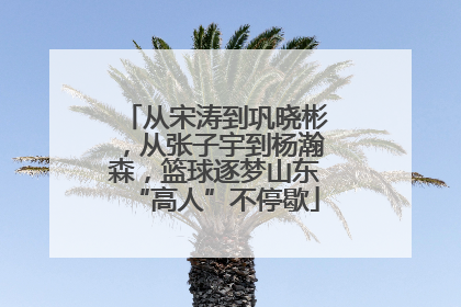 从宋涛到巩晓彬，从张子宇到杨瀚森，篮球逐梦山东“高人”不停歇