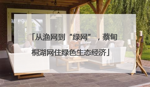 从渔网到“绿网”，蔡甸桐湖网住绿色生态经济