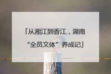 从湘江到香江，湖南“全员文体”养成记