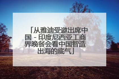 从雅迪受邀出席中国－印度尼西亚工商界晚餐会看中国智造出海的底气