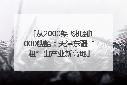 从2000架飞机到1000艘船：天津东疆“租”出产业新高地