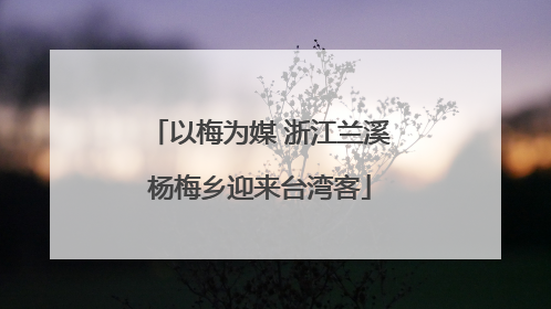 以梅为媒 浙江兰溪杨梅乡迎来台湾客