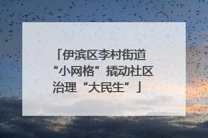 伊滨区李村街道 “小网格”撬动社区治理“大民生”