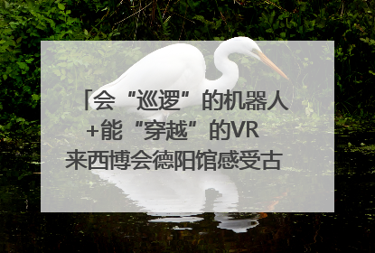 会“巡逻”的机器人+能“穿越”的VR 来西博会德阳馆感受古蜀文明与现代智造的时空对话｜西博视界