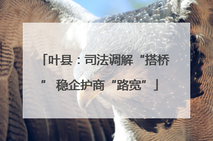叶县：司法调解“搭桥” 稳企护商“路宽”