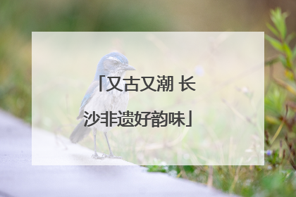 又古又潮 长沙非遗好韵味