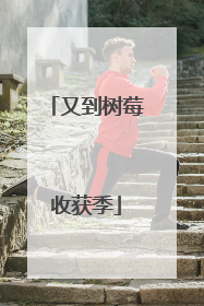 又到树莓收获季