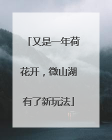 又是一年荷花开，微山湖有了新玩法