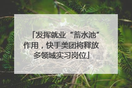 发挥就业“蓄水池”作用，快手美团将释放多领域实习岗位