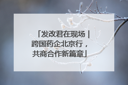 发改君在现场｜跨国药企北京行，共商合作新篇章
