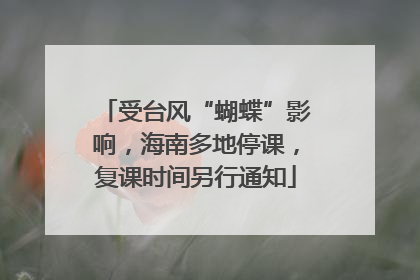 受台风“蝴蝶”影响，海南多地停课，复课时间另行通知
