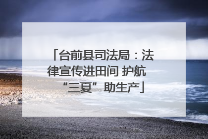 台前县司法局：法律宣传进田间 护航“三夏”助生产