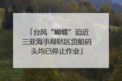 台风“蝴蝶”迫近 三亚海事局辖区货船码头均已停止作业