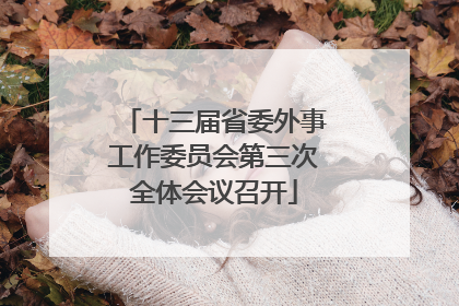 十三届省委外事工作委员会第三次全体会议召开