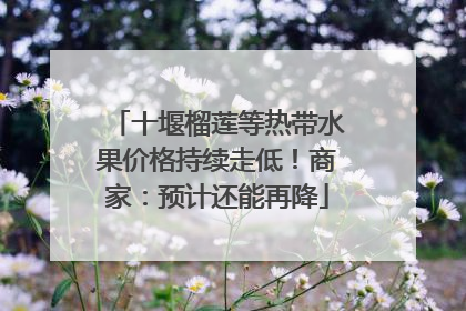 十堰榴莲等热带水果价格持续走低！商家：预计还能再降