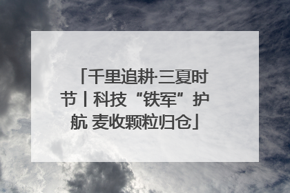 千里追耕·三夏时节丨科技“铁军”护航 麦收颗粒归仓