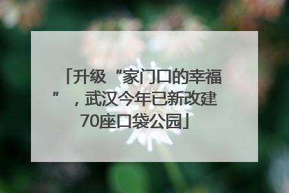 升级“家门口的幸福”，武汉今年已新改建70座口袋公园