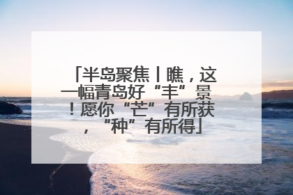 半岛聚焦丨瞧，这一幅青岛好“丰”景！愿你“芒”有所获，“种”有所得