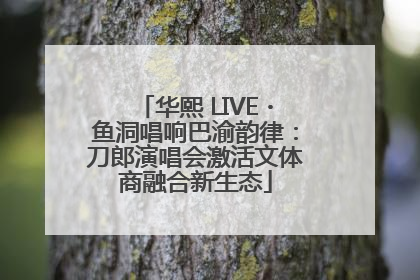 华熙 LIVE・鱼洞唱响巴渝韵律：刀郎演唱会激活文体商融合新生态