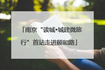 南京“读城•城建微旅行”首站走进颐和路