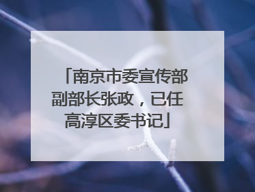 南京市委宣传部副部长张政，已任高淳区委书记
