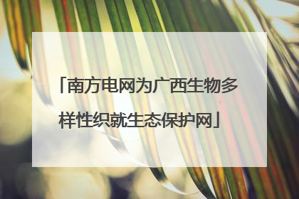 南方电网为广西生物多样性织就生态保护网