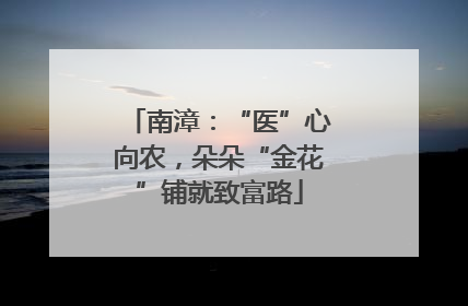 南漳：“医”心向农，朵朵“金花”铺就致富路